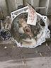 cambio-volkswagen-polo-1-6-tdi-cod-mot-cay