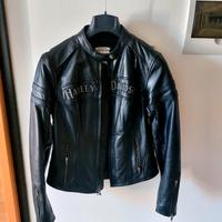 giubotto pelle Harley Davidson e camicia