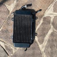 Radiatore Piaggio Zip Mk1