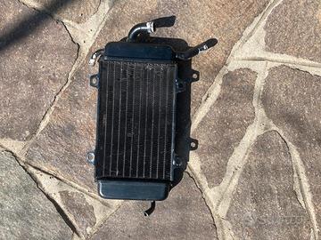 Radiatore Piaggio Zip Mk1