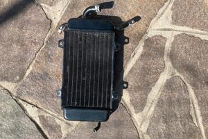 Radiatore Piaggio Zip Mk1