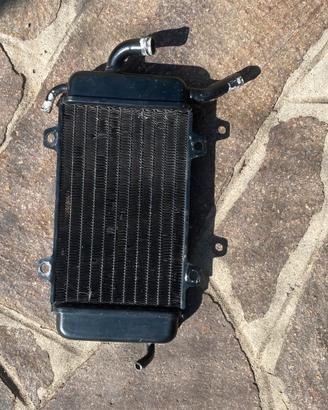 Radiatore Piaggio Zip Mk1