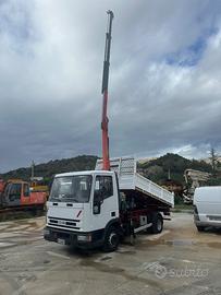 Eurocargo ribaltabile e gru