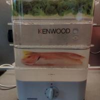 Vaporiera Kenwood FS370