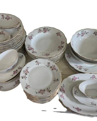 SERVIZIO PIATTI NORA BAVARIA 59 PEZZI