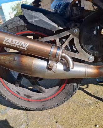 Yasuni r piaggio
