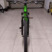 Bicicletta mountain bike