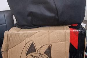 Casco moto con orecchie – NUOVO XL – Nero lucido