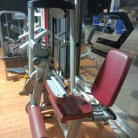 LEG CURL SEDUTO