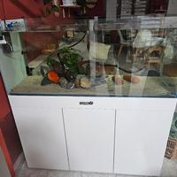 Acqaurio Amtra extrachiaro 