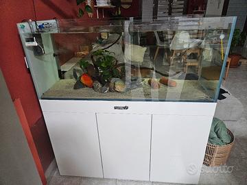 Acqaurio Amtra extrachiaro 