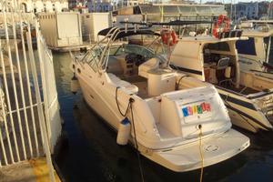Sea Ray Amberjack 270 