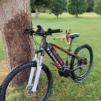 mtb elettrica