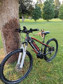 mtb elettrica