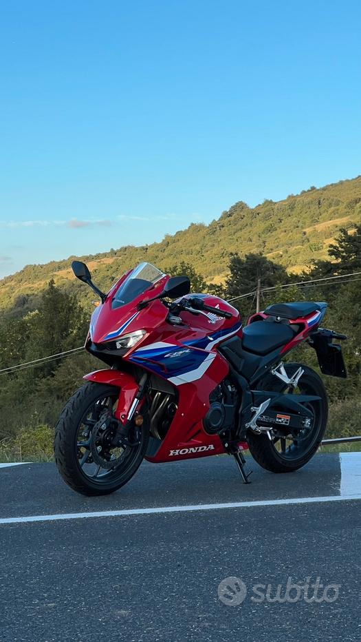 スポーツ新聞 ビクタス レディース ゼクスギア ZX-GEAR FIBER 卓球ラケット シェーク