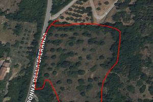 Terreno agricolo con uliveto