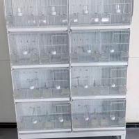 Batterie gabbie per canarini