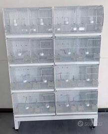 Batterie gabbie per canarini