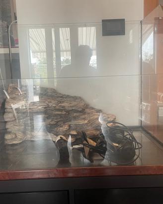 Vasca / terrario in vetro per tartaruga d acqua