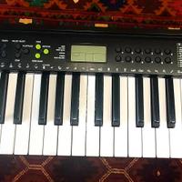 casio
