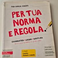 PER TUA NORMA E REGOLA _ Pier Giorgio Viberti