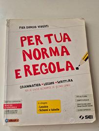 PER TUA NORMA E REGOLA _ Pier Giorgio Viberti