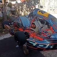 Kart intrepid KZ