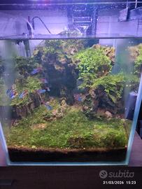 Acquario 30Lt
