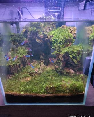 Acquario 30Lt
