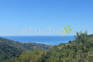 Terreno Edificabile a Vallebona