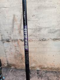 Canne spinning casting