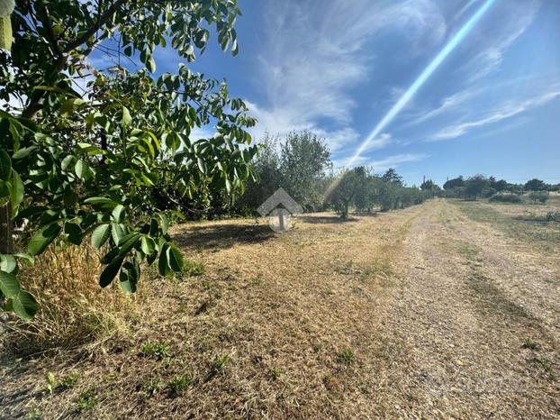 TER. AGRICOLO A SAN CESAREO