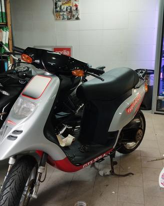 Gilera Typhoon 50cc 1996  Libretto Piccolo Verde 