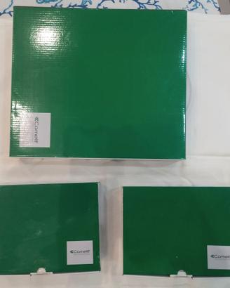 Kit videosorveglianza comelit nvr + 2 telecamere
