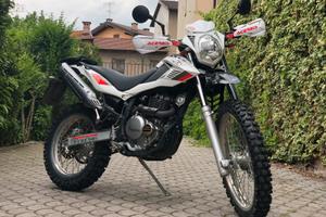 Beta Alp 4.0