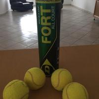 Dunlop - Palline da Tennis professionali