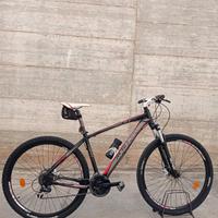 Bici MTB 29 