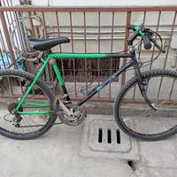 bici mtb