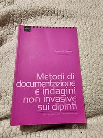 metodi di documentazione e indagini non invadive s
