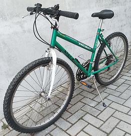 Mountan-bike Project cambio Shimano