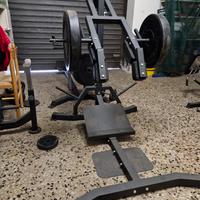 Hack Squat
