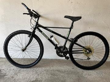 Bianchi Thomisus Ragno