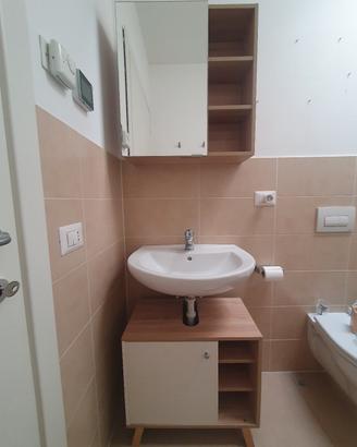 set per bagno sottolavabo e specchio contenitore 