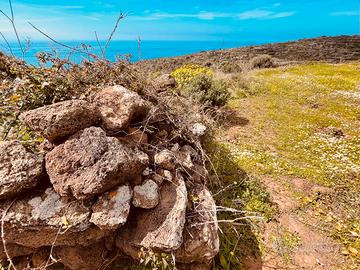 Terreno con progetto e concess. edilizia approvati