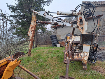 Caricatore/retroescavatore pesci