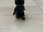 Immagine 3