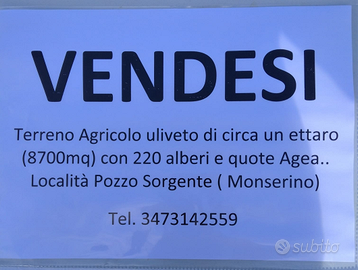 Terreno agricolo