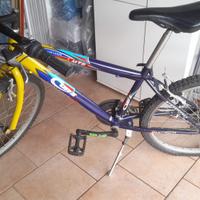 Mountain bike Cup's Explorer per ragazzi/e