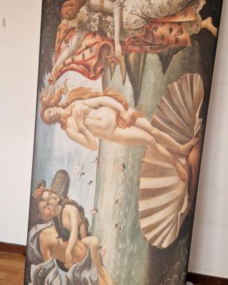 quadro venere