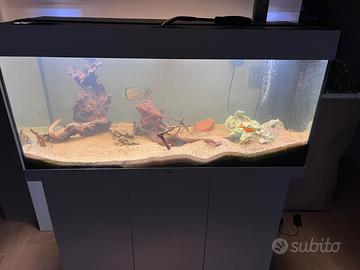 Acquario completo juwel